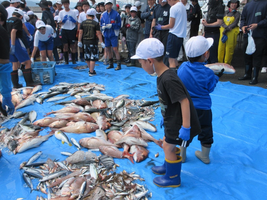 漁業体験　水揚げして魚種の選別を全員で行います。